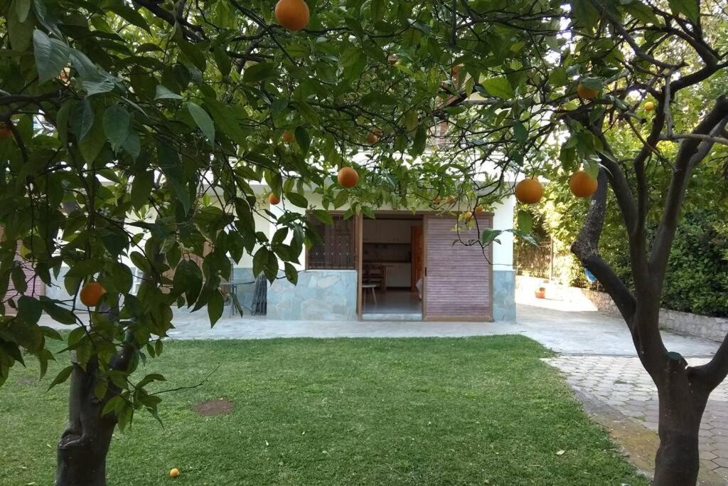 Electra Apartment In Epidaurus Bagian luar foto